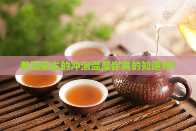 普洱茶生的冲泡温度