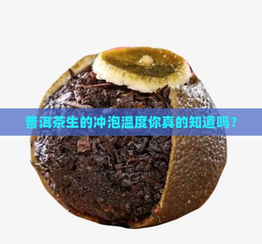 普洱茶生的冲泡温度