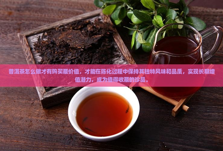 普洱茶怎么做才有购买藏价值