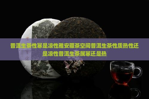 普洱生茶性寒是凉性雅安藏茶空间