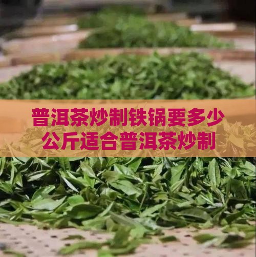 普洱茶炒制铁锅要多少公斤