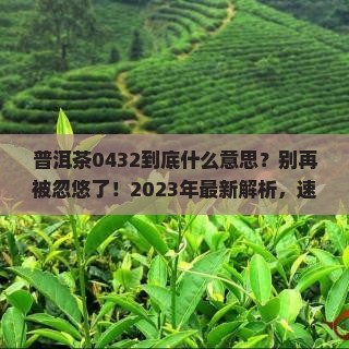 普洱茶0432什么意思