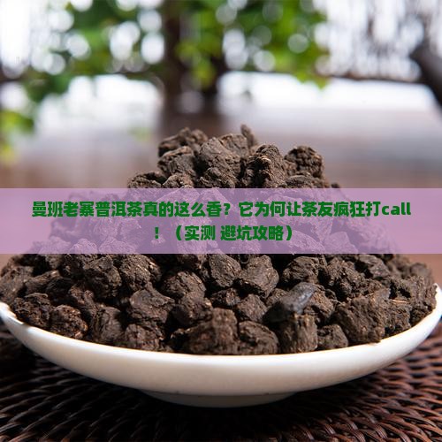 曼班老寨普洱茶特点