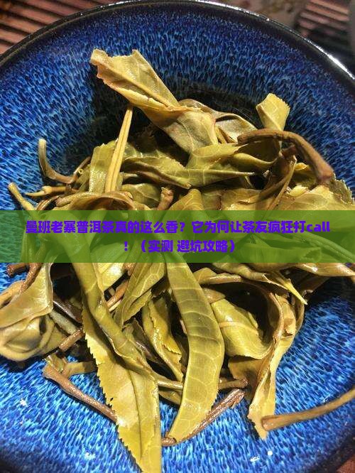 曼班老寨普洱茶特点