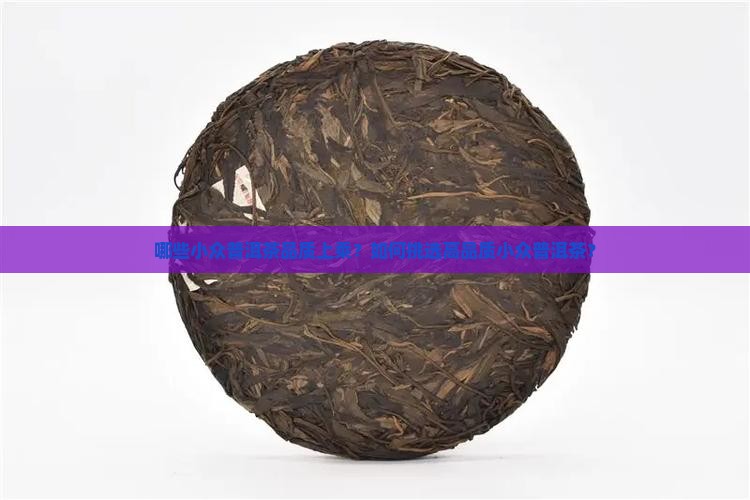 哪些小众普洱茶品质上乘？如何挑选高品质小众普洱茶？