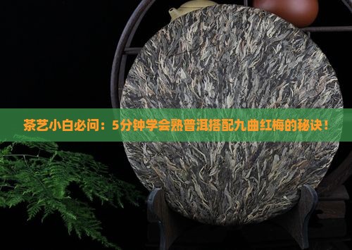 茶艺小白必问：5分钟学会熟普洱搭配九曲红梅的秘诀！