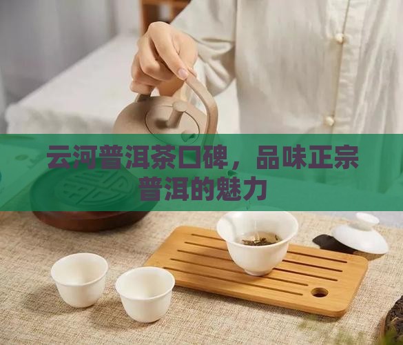 云河普洱茶口碑，品味正宗普洱的魅力