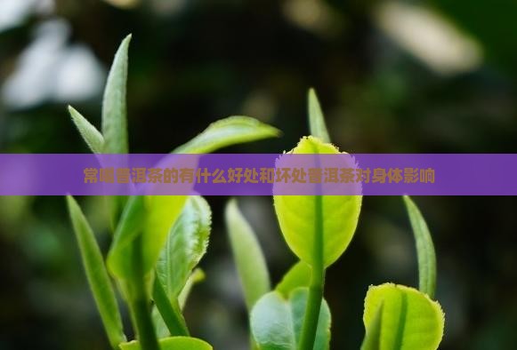 常喝普洱茶的有什么好处和坏处普洱茶对身体影响