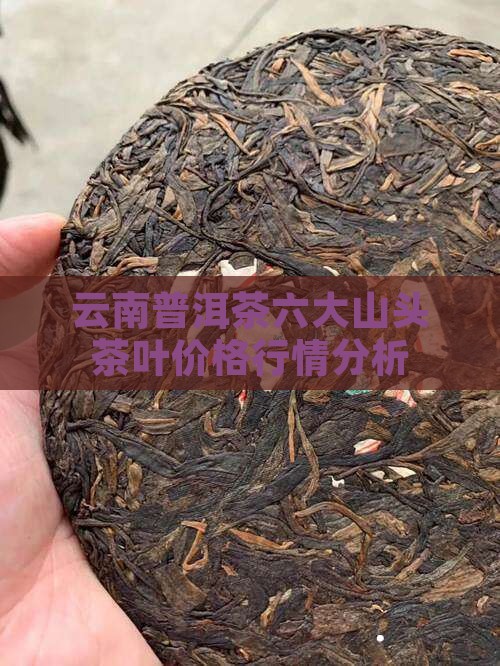 云南普洱茶六大山头茶叶价格行情分析
