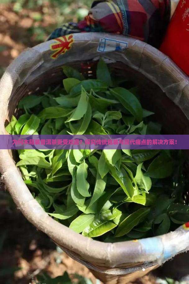 为何木箱装普洱茶更受欢迎？探究传统包装与现代痛点的解决方案！