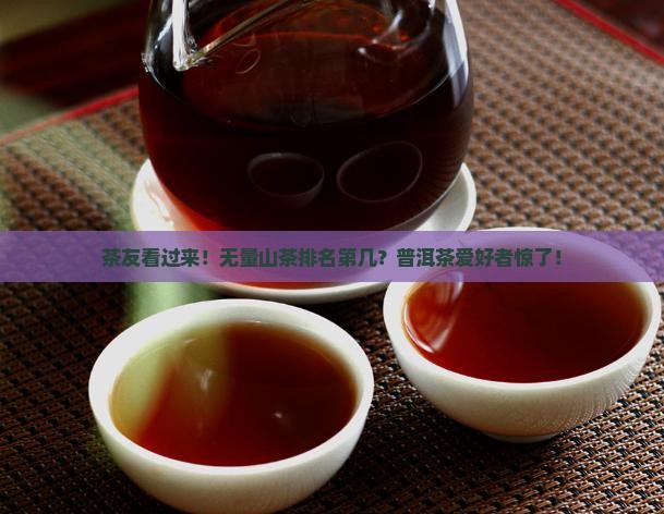 茶友看过来！无量山茶排名第几？普洱茶爱好者惊了！