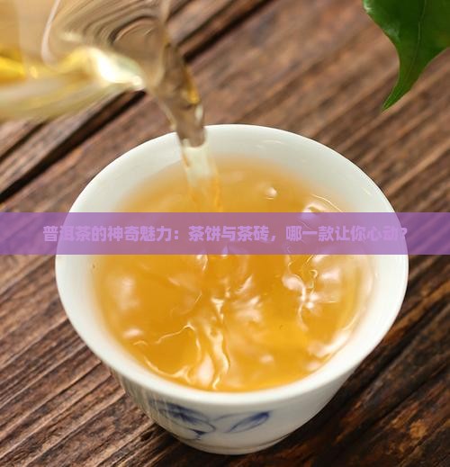 普洱茶的神奇魅力：茶饼与茶砖，哪一款让你心动？
