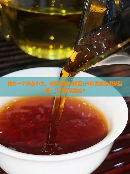 作为一个茶艺小白，在聚会时如何区分5种高端普洱茶型号，让气氛更融洽？
