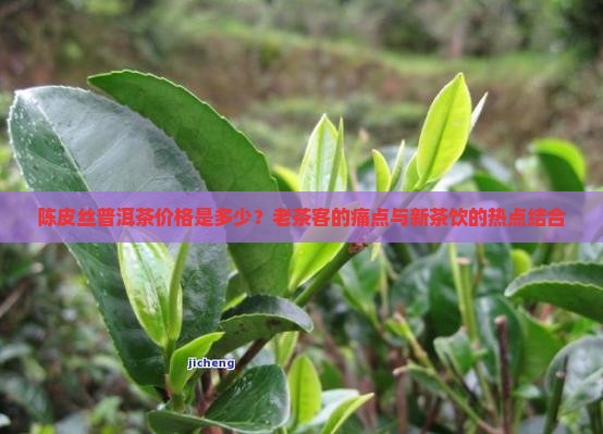 陈皮丝普洱茶价格是多少？老茶客的痛点与新茶饮的热点结合