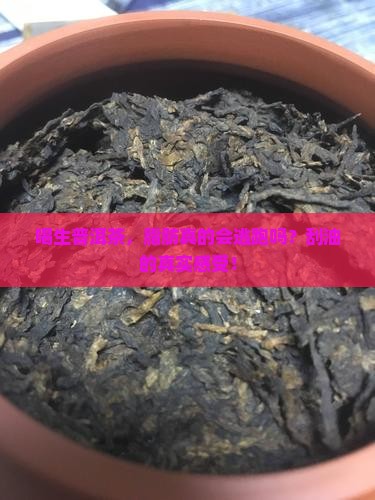 喝生普洱茶，脂肪真的会逃跑吗？刮油的真实感受！