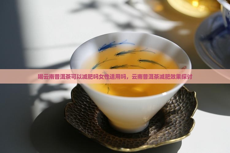 喝云南普洱茶可以减肥吗女性适用吗，云南普洱茶减肥效果探讨