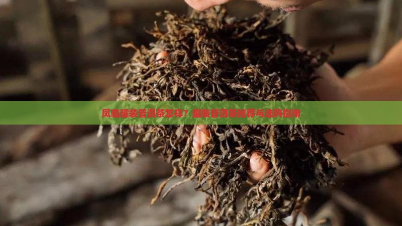 凤临罐装普洱茶怎样？罐装普洱茶推荐与选购指南