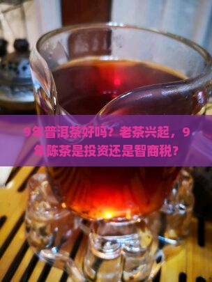 9年普洱茶好吗？老茶兴起，9年陈茶是投资还是智商税？