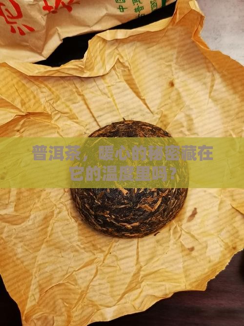 普洱茶，暖心的秘密藏在它的温度里吗？