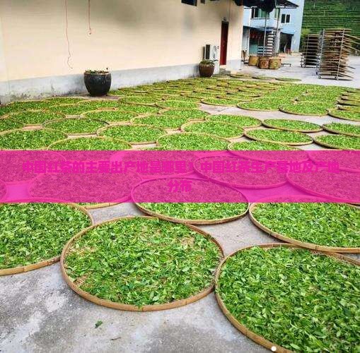 中国红茶的主要出产地是哪里？中国红茶生产基地及产地分布