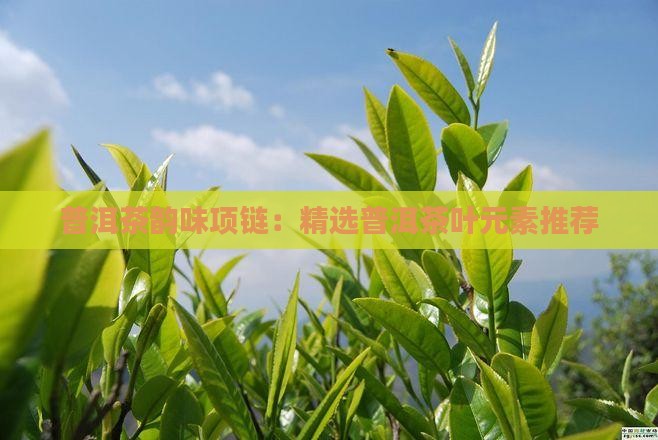 普洱茶韵味项链：精选普洱茶叶元素推荐