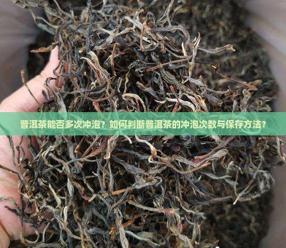 普洱茶能否多次冲泡？如何判断普洱茶的冲泡次数与保存方法？