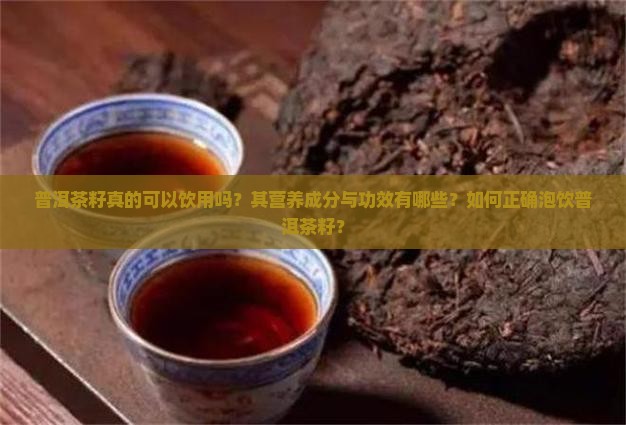 普洱茶籽真的可以饮用吗？其营养成分与功效有哪些？如何正确泡饮普洱茶籽？