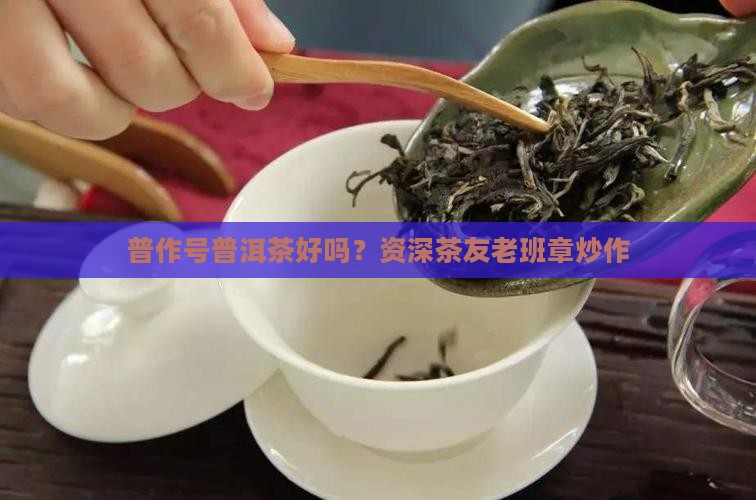 普作号普洱茶好吗？资深茶友老班章炒作