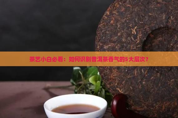 茶艺小白必看：如何识别普洱茶香气的5大层次？