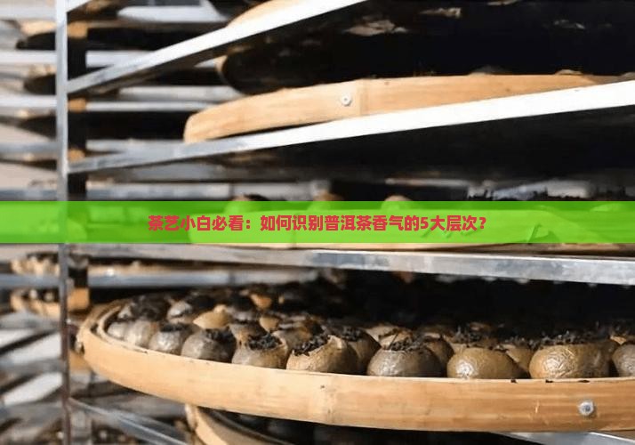 茶艺小白必看：如何识别普洱茶香气的5大层次？
