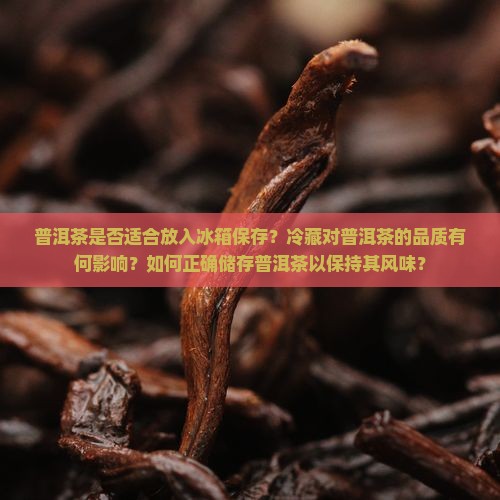 普洱茶是否适合放入冰箱保存？冷藏对普洱茶的品质有何影响？如何正确储存普洱茶以保持其风味？