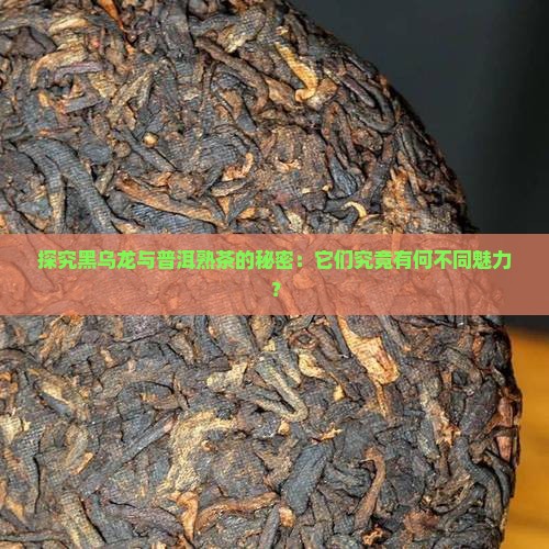 探究黑乌龙与普洱熟茶的秘密：它们究竟有何不同魅力？