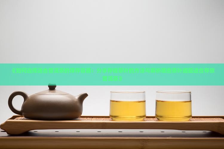 《如何选择适合普洱茶的保存容器：分享存储茶叶的方法与解析哪些茶叶罐最适合存放普洱茶》