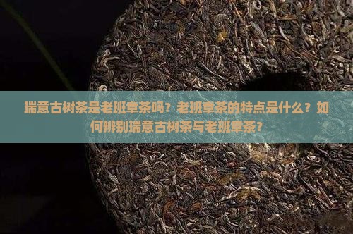 瑞意古树茶是老班章茶吗？老班章茶的特点是什么？如何辨别瑞意古树茶与老班章茶？