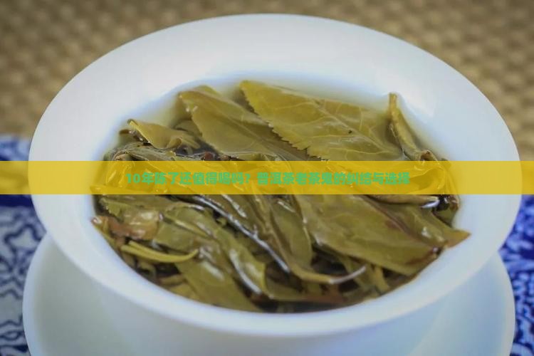 10年陈了还值得喝吗？普洱茶老茶鬼的纠结与选择