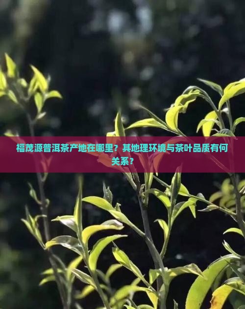 福茂源普洱茶产地在哪里？其地理环境与茶叶品质有何关系？