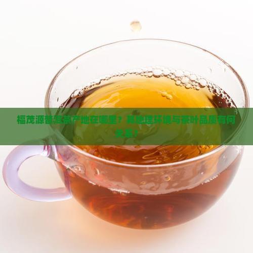 福茂源普洱茶产地在哪里？其地理环境与茶叶品质有何关系？