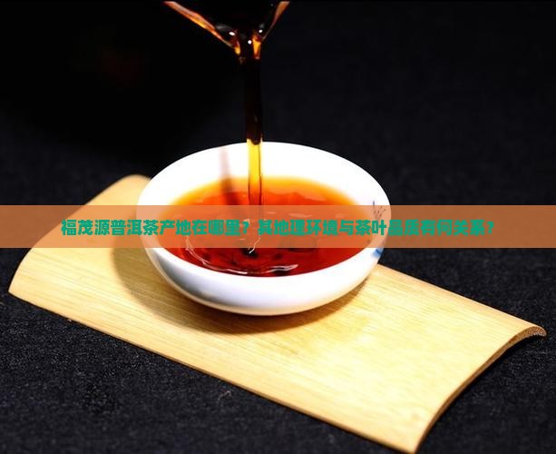 福茂源普洱茶产地在哪里？其地理环境与茶叶品质有何关系？