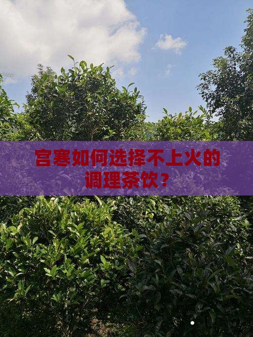 宫寒如何选择不上火的调理茶饮？
