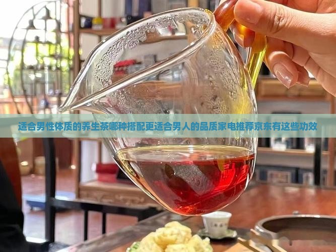 适合男性体质的养生茶哪种搭配更适合男人的品质家电推荐京东有这些功效