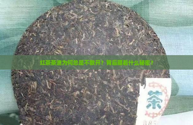 红茶茶渣为何总是不散开？背后藏着什么秘密？