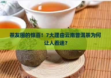 茶友圈的惊喜！7大理由云南普洱茶为何让人着迷？