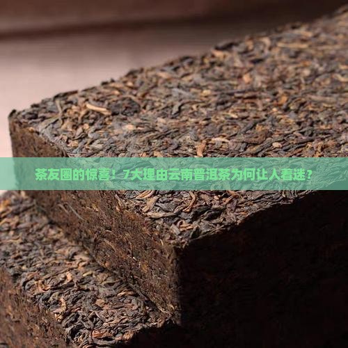 茶友圈的惊喜！7大理由云南普洱茶为何让人着迷？