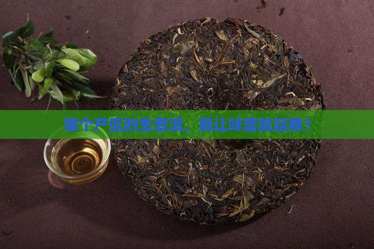 哪个产区的生普洱，能让味蕾跳起舞？