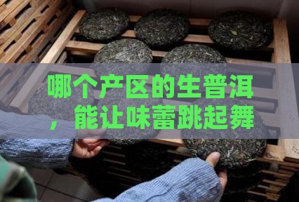 哪个产区的生普洱，能让味蕾跳起舞？
