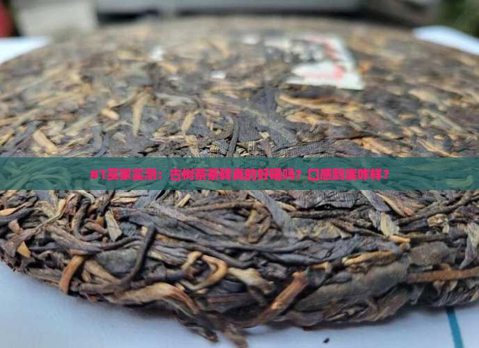 #1买家实测：古树茶茶砖真的好喝吗？口感到底咋样？