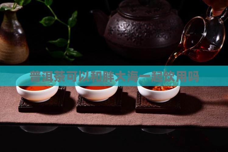 普洱茶可以和胖大海一起饮用吗