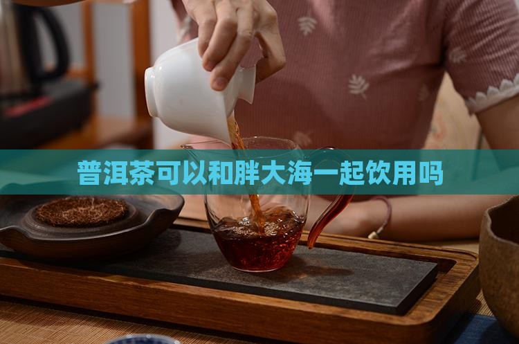 普洱茶可以和胖大海一起饮用吗