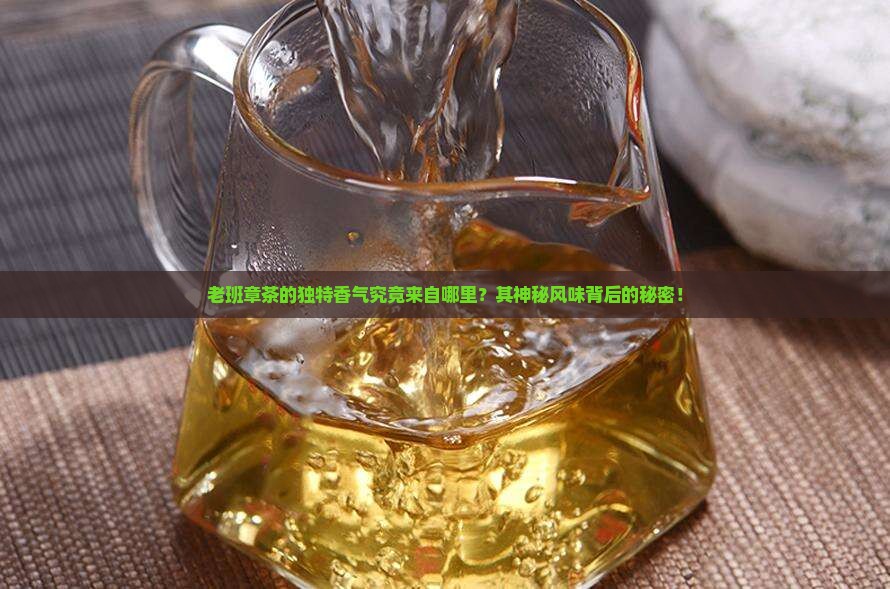 老班章茶的独特香气究竟来自哪里？其神秘风味背后的秘密！
