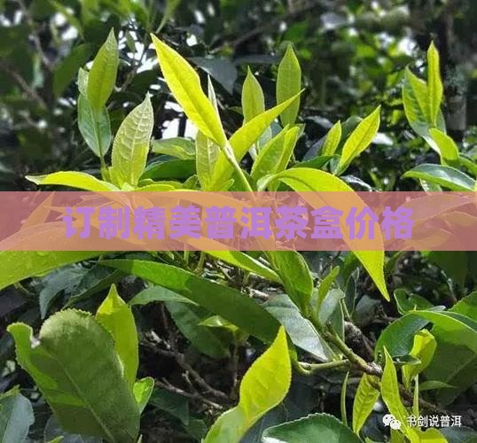 订制精美普洱茶盒价格